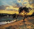 Circuit de 9 jours en Alentejo – Séjour dans des Pousadas historiques